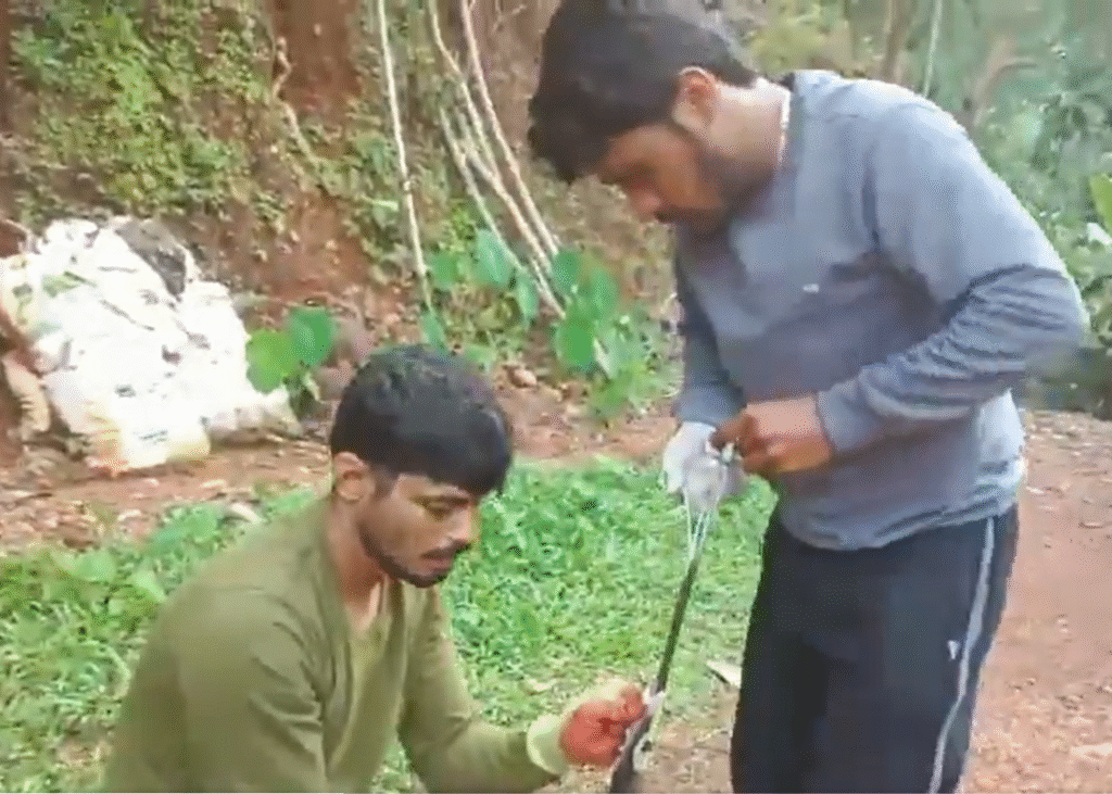 Karnataka | एक सर्प की बड़ी गलती: विचित्र घटना में कोबरा ने निगल लिया चाकू Cobra swallows knife in bizarre incident