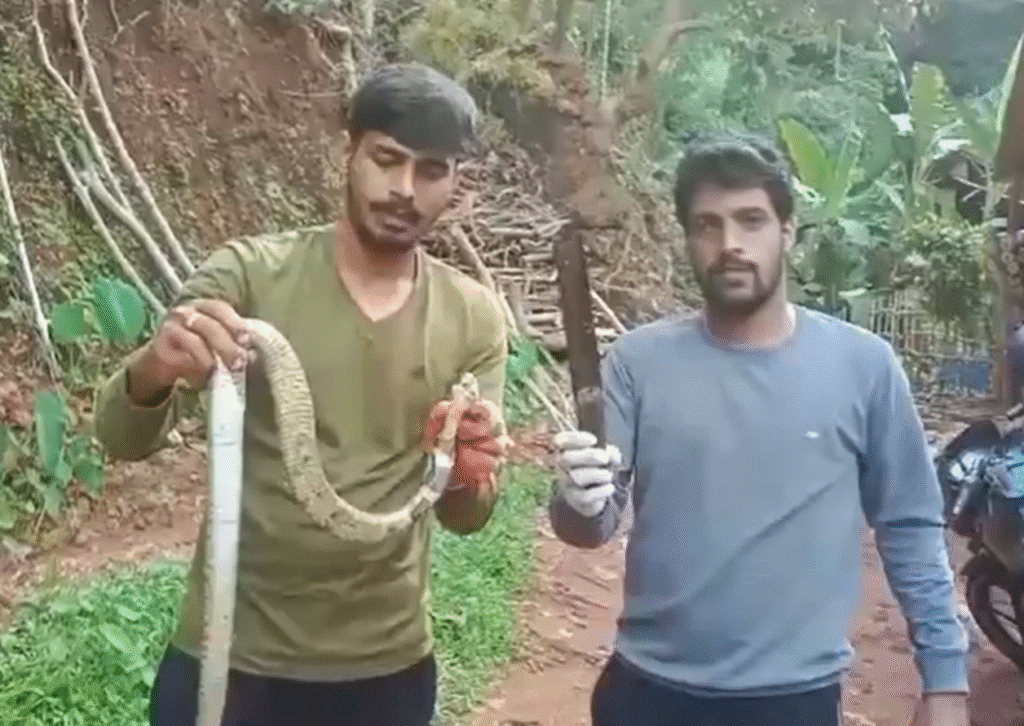 Karnataka | एक सर्प की बड़ी गलती: विचित्र घटना में कोबरा ने निगल लिया चाकू Cobra swallows knife in bizarre incident